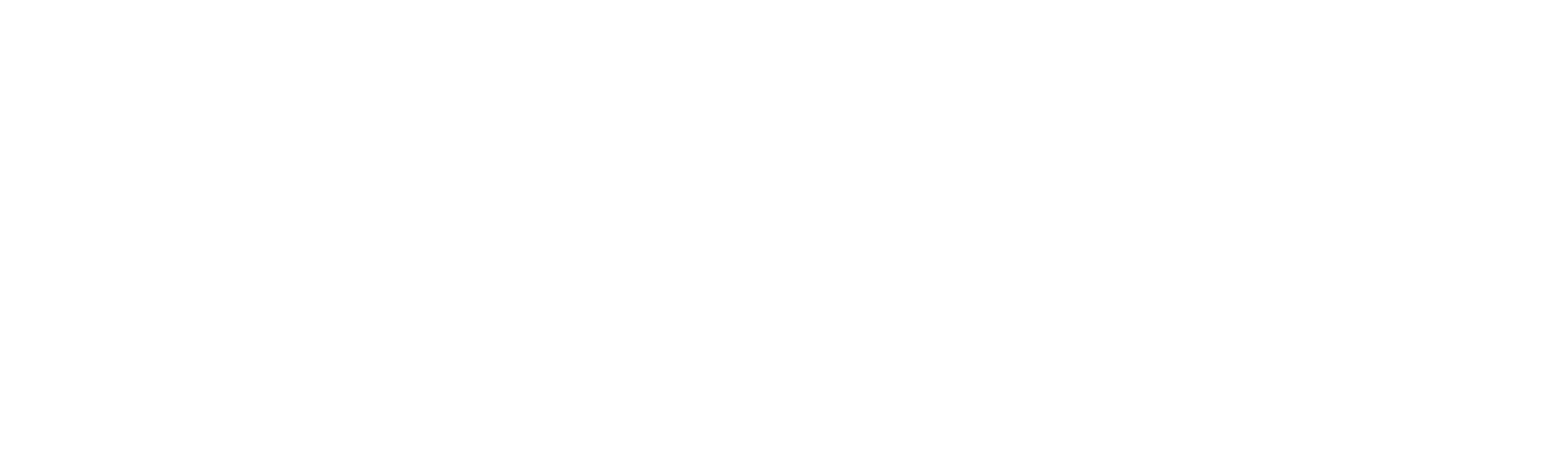 Elfbar Logo in Footer